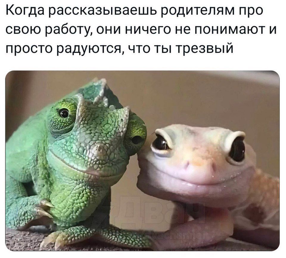 Когда рассказываешь родителям про свою работу, они ничего не понимают и просто радуются, что ты трезвый