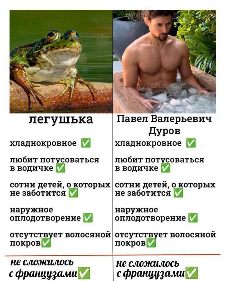 легушка
холоднокровное ✅
любит потусоваться в водичке ✅
сотни детей, о которых не заботится ✅
наружное оплодотворение ✅
отсутствует волосной покров ✅
не сложился с французами

Павел Валерьевич Дуров
холоднокровное ✅
любит потусоваться в водичке ✅
сотни детей, о которых не заботится ✅
наружное оплодотворение ✅
отсутствует волосной покров ✅
не сложилось с французами