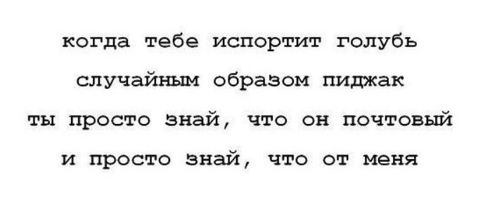 когда тебе испортит голубь случайным образом пиджак ты просто знай, что он почтовый и просто знай, что от меня