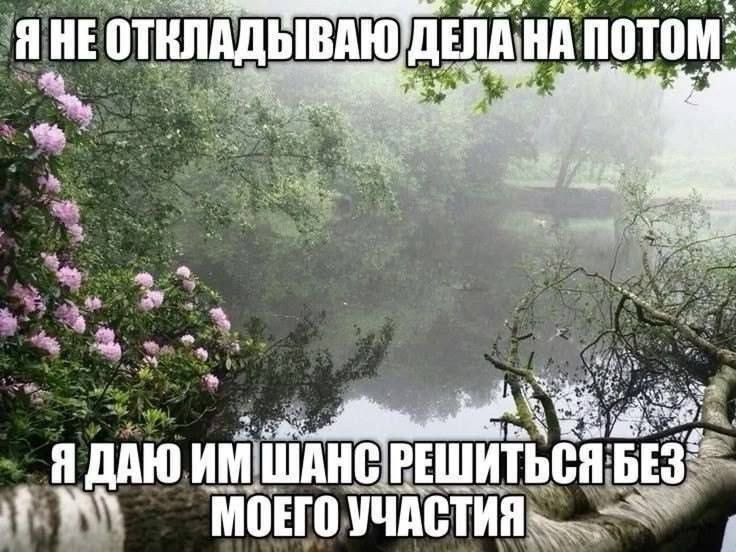 Я не откладываю дела на потом
Я даю им шанс решиться без моего участия