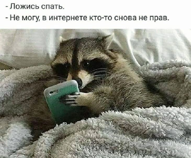Ложись спать.
Не могу, в интернете кто-то снова не прав.