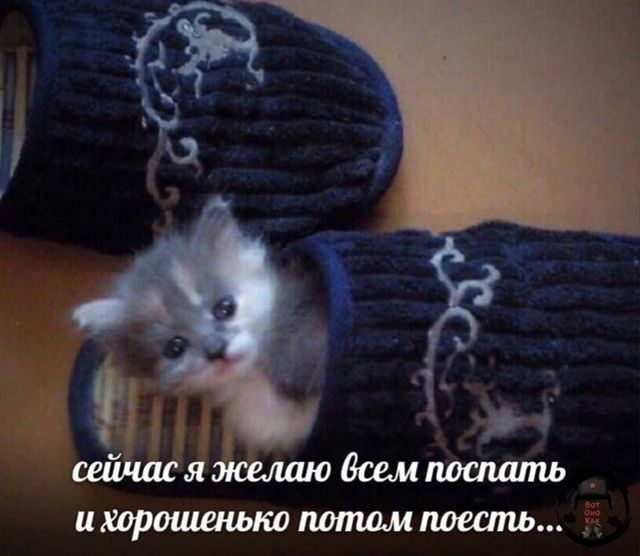 сейчас я желаю всем поспать и хорошенько потом поесть...