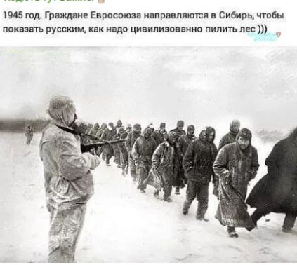 1945 год. Граждане Евросоюза направляются в Сибирь, чтобы показать русским, как надо цивилизовано пилить лес)))