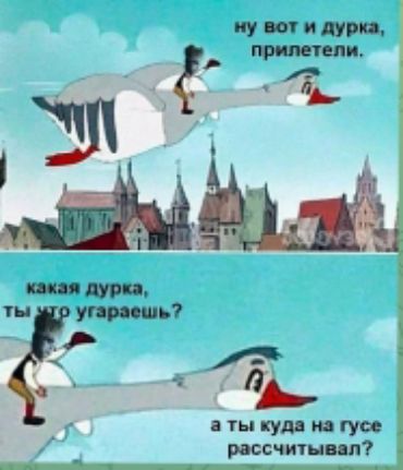 ну вот и дурка, прилетели.
какая дурка, ты что угораешь?
а ты куда на гусе рассчитал?
