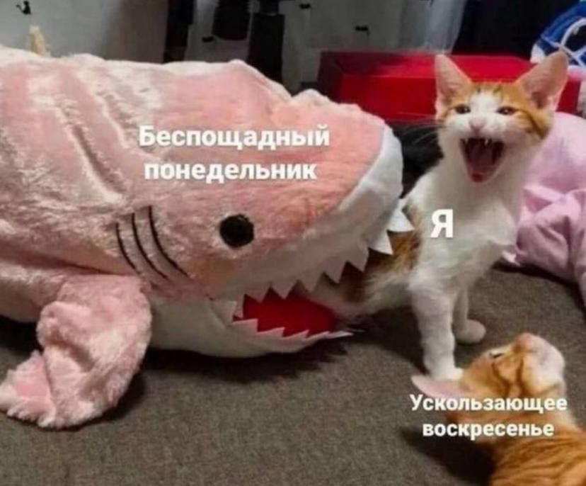 Беспощадный понедельник
Я
Ускользающее воскресенье