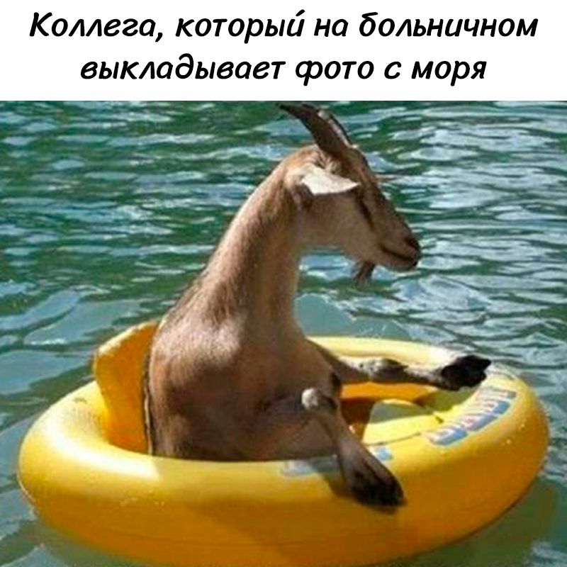 Коллега, который на больничном выкладывает фото с моря