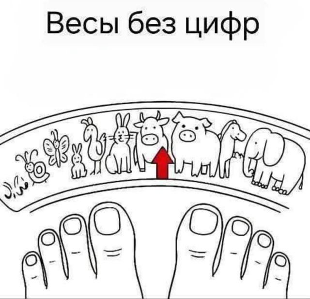 Весы без цифр