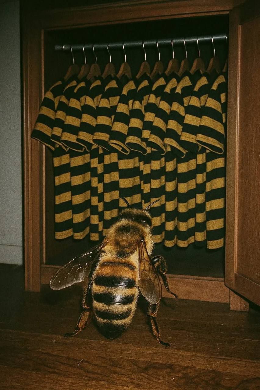 иа А у Р ‚ А1
ц.аі.г_‚.с‹: `ці 0
т\\'\`›7\^ъ—-
-.ии'и

