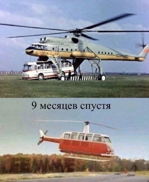 9 месяцев спустя