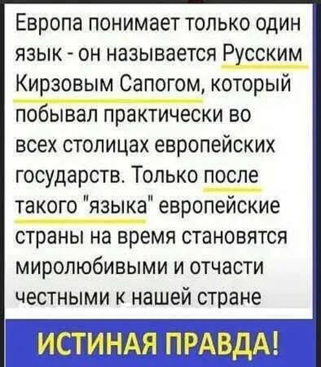 Европа понимает только один язык - он называется Русским Кирзовым Сапогом, который побывал практически во всех столицах европейских государств. Только после такого 