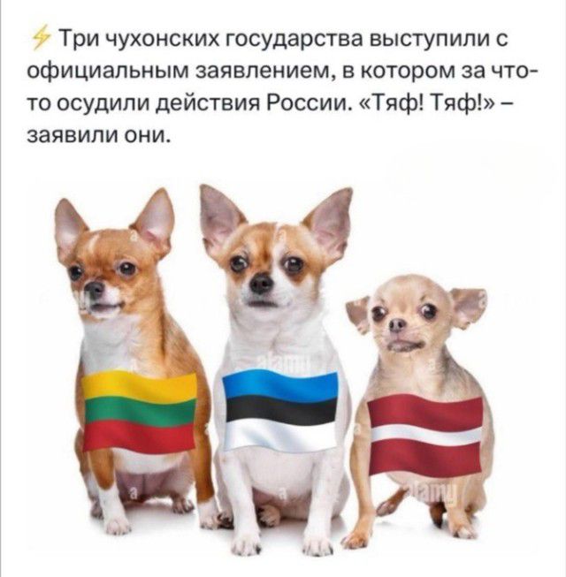 Три чужонских государства выступили с официальным заявлением, в котором за что-то осудили действия России. «Тяф! Тяф!» – заявили они.