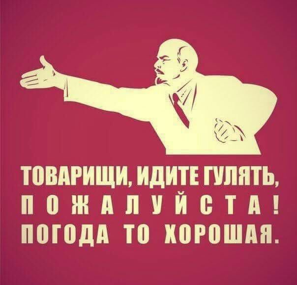 ТОВАРИЩИ, ИДИТЕ ГУЛЯТЬ, ПОЖАЛУЙСТА! ПОГОДА ТО ХОРОШАЯ.
