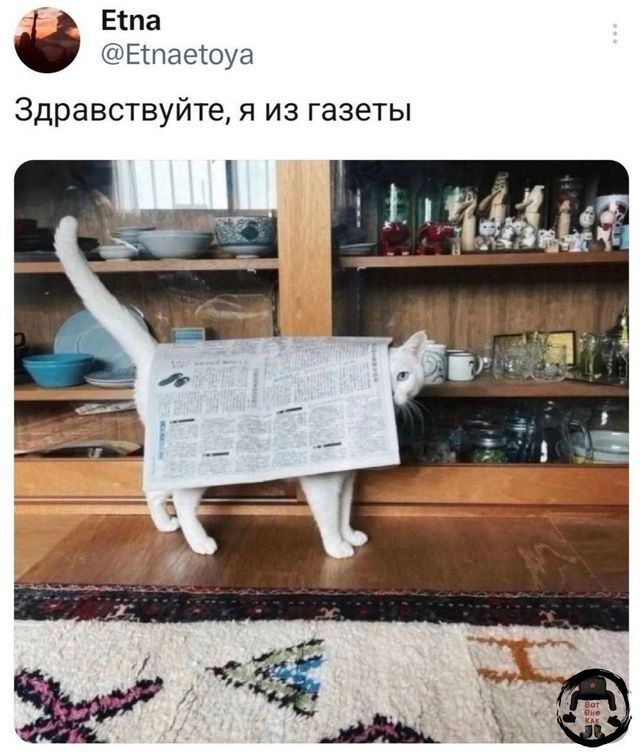 Здравствуйте, я из газеты