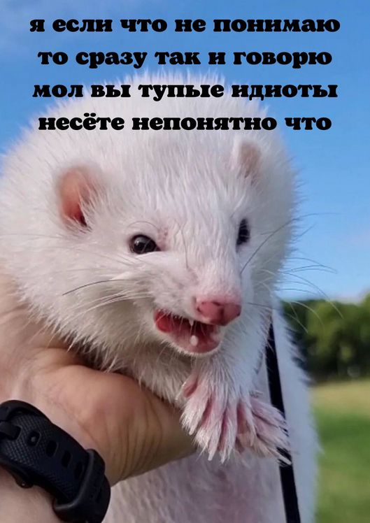 я если что не понимаю то сразу так и говорю мол вы тупые идиоты несёте непонятно что
