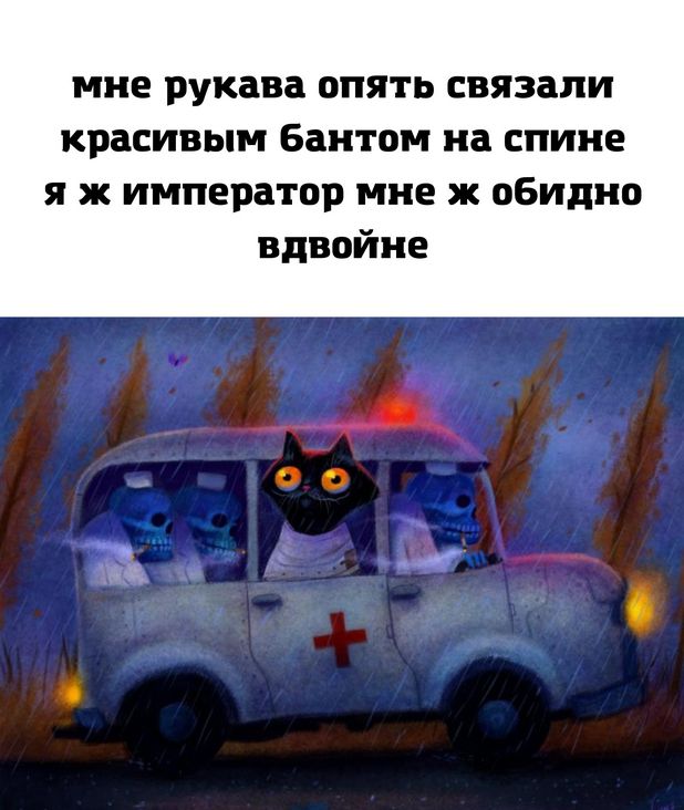 мне рукава опять связали красивым бантом на спине я ж император мне ж обидно вдвойне