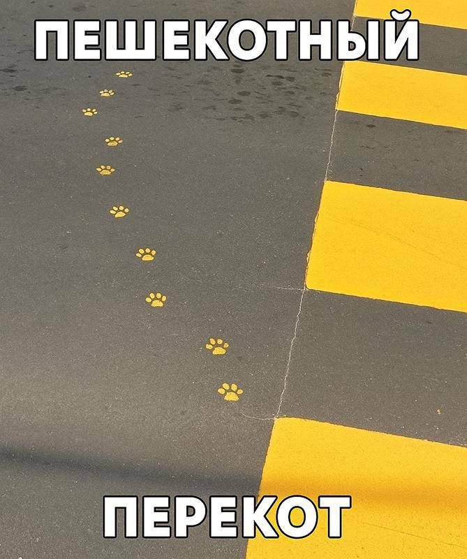 ПЕШЕКОТНЫЙ ПЕРЕКОТ