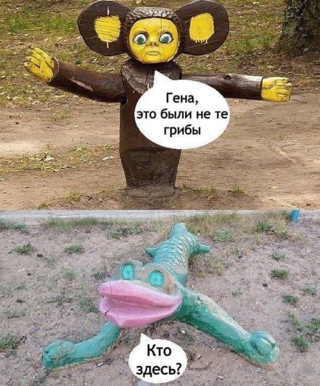 Гена, это были не те грибы
Кто здесь?
