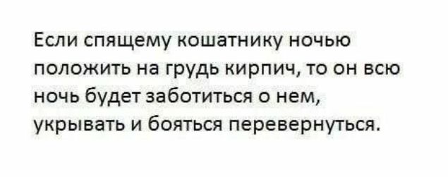 Если спящему кошатнику ночью положить на грудь кирпич, то он всю ночь будет заботиться о нем, укрывать и бояться перевернуться.