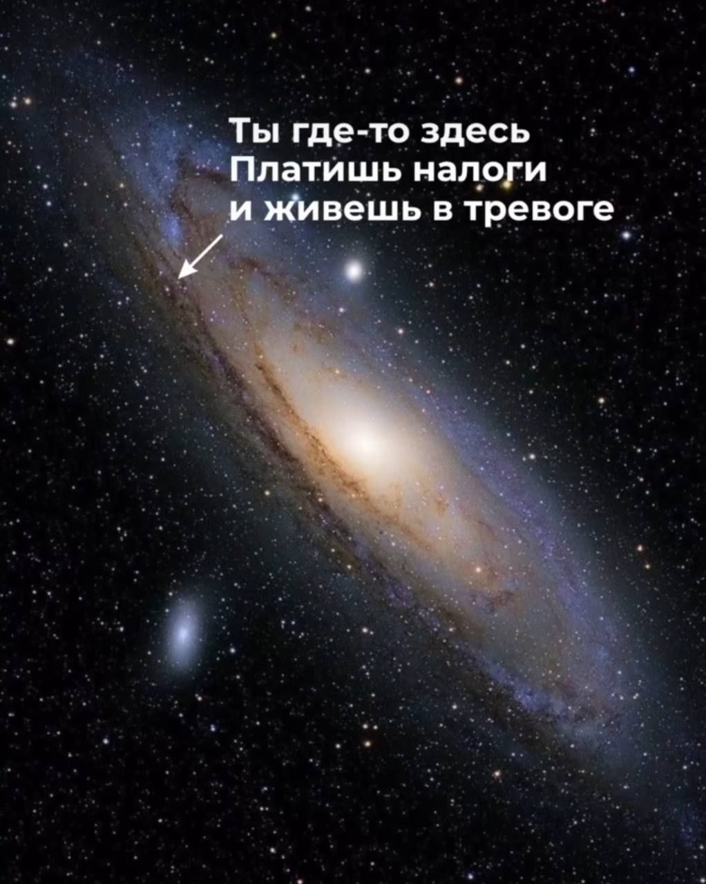 Ты где-то здесь Платишь налоги и живёшь в тревоге