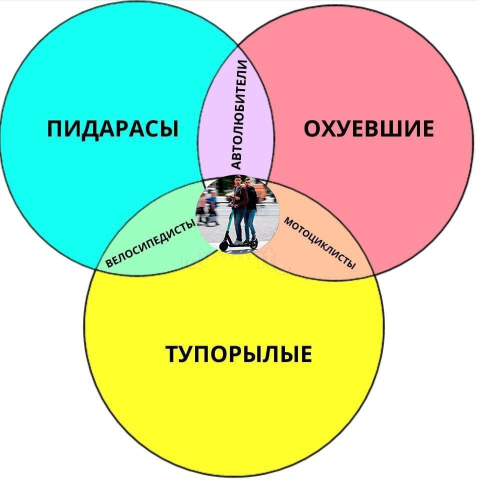 ТУПОРЫЛЫЕ
