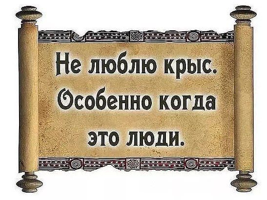 Не люблю крыс. Особенно когда это люди.