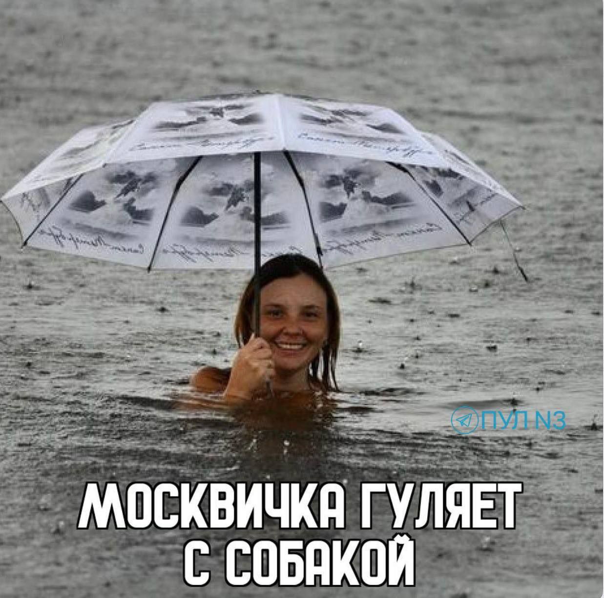 московочка гуляет с собакой