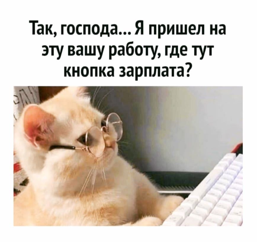 Так, господа... Я пришел на эту вашу работу, где тут кнопка зарплата?