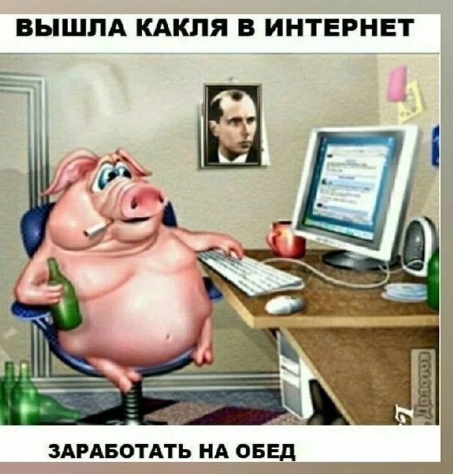 ВЫШЛА КАКЛЯ В ИНТЕРНЕТ ЗАРАБОТАТЬ НА ОБЕД
