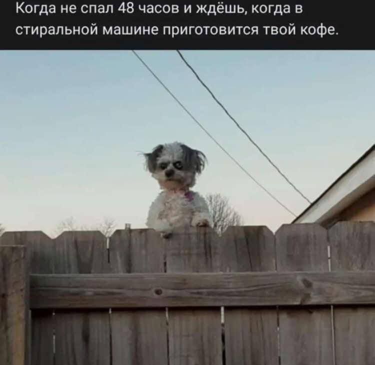 Когда не спал 48 часов и ждёшь, когда в стиральной машине приготовится твой кофе.