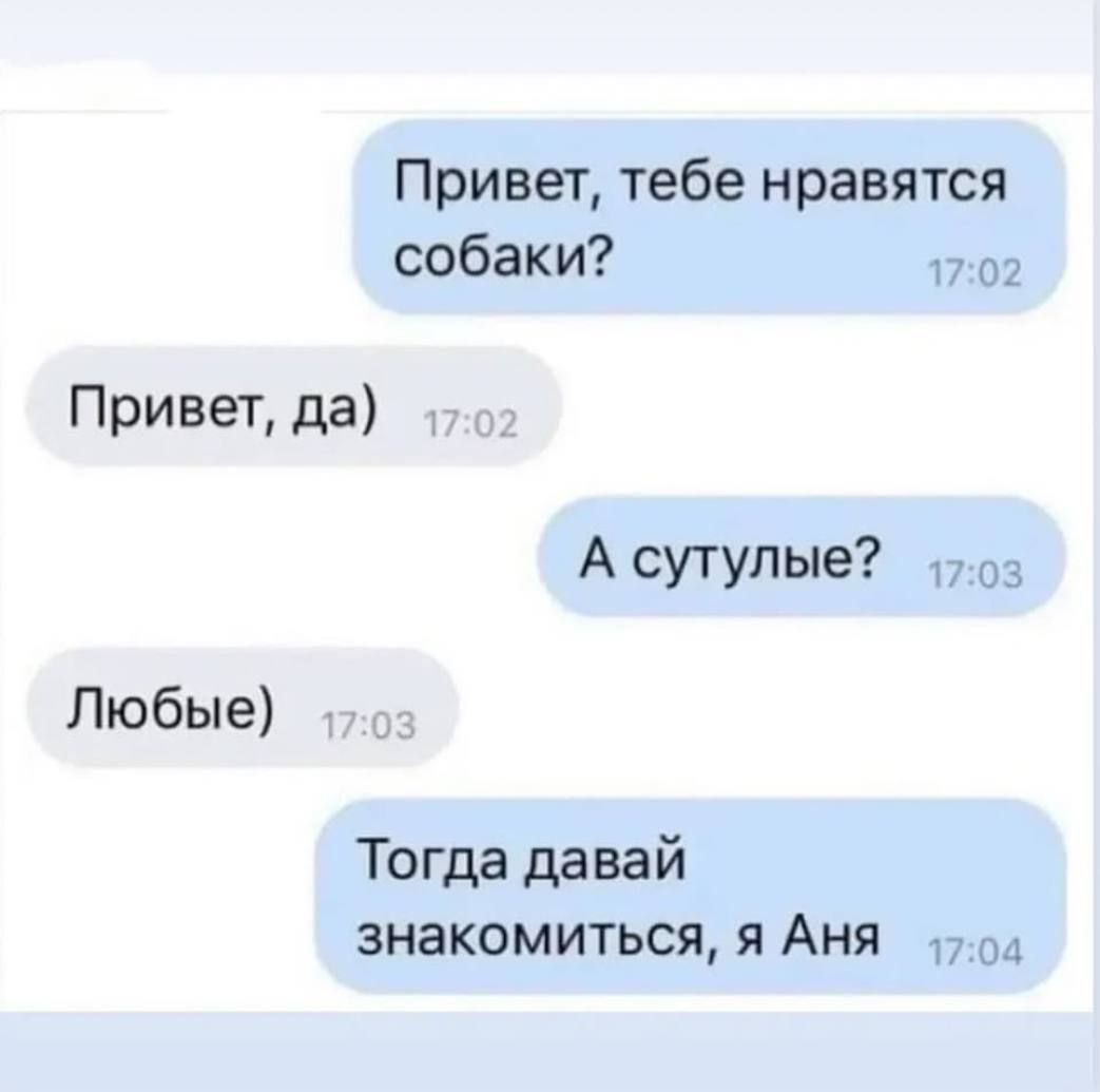 Привет, тебе нравятся собаки? Привет, да) А сутульные? Любые) Тогда давай знакомиться, я Аня