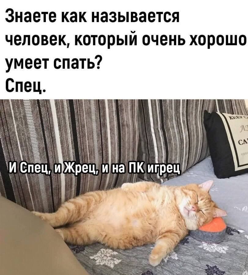 Знаете как называется человек, который очень хорошо умеет спать? Спец.
И Спец, и Жрец, и на ПК грець