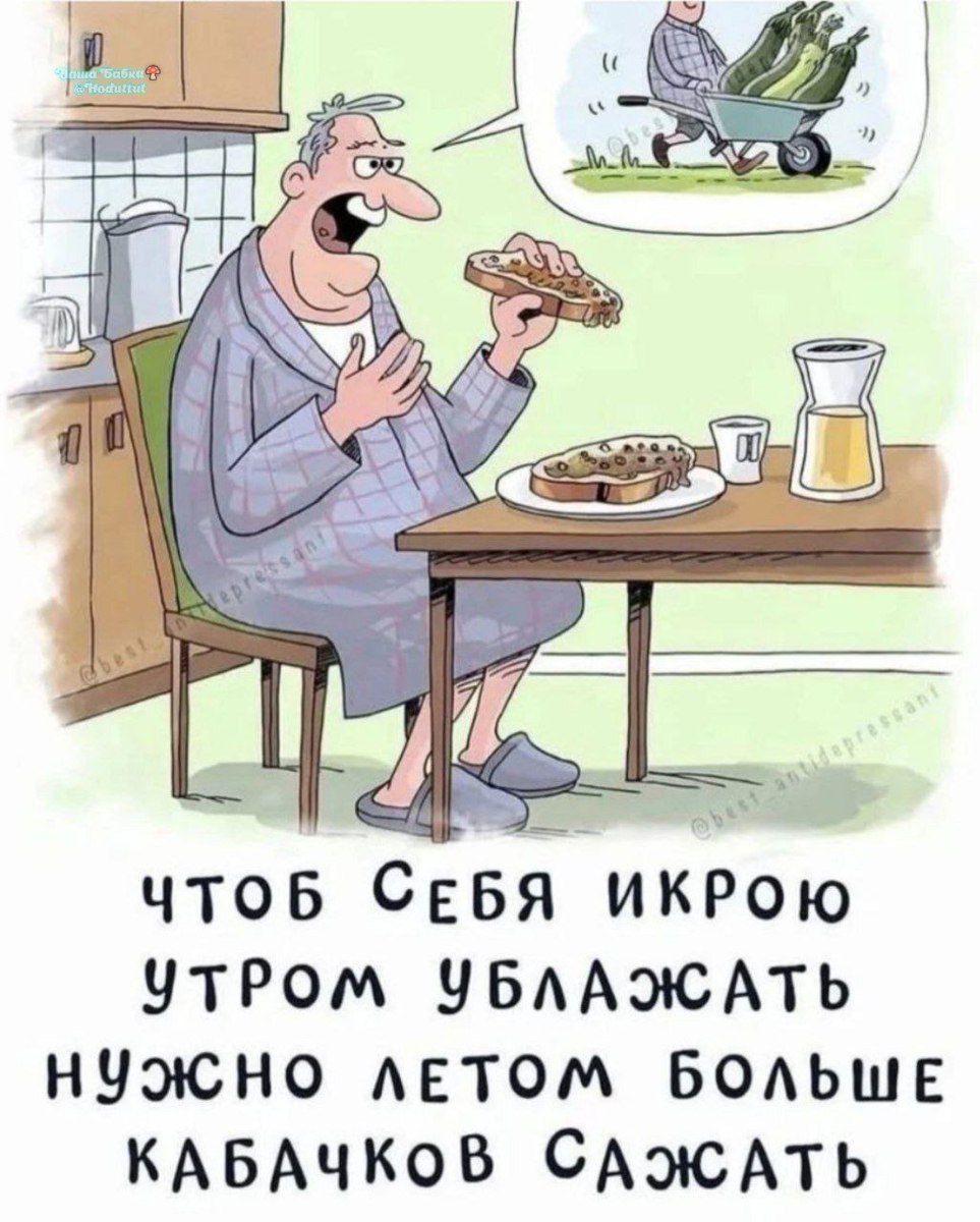 ЧТОБ СЕБЯ ИКРОЮ УТРОМ УБЛАЖАТЬ НУЖНО ЛЕТОМ БОЛЬШЕ КАБАЧКОВ САЖАТЬ