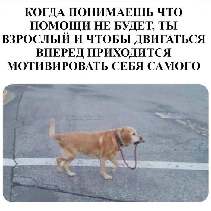 КОЛДА ПОНИМАЕШЬ ЧТО ПОМОЩИ НЕ БУДЕТ, ТЫ ВЗРОСЛЫЙ И ЧТОБЫ ДВИГАТЬСЯ ВПЕРЕД ПРИХОДИТСЯ МОТИВИРОВАТЬ СЕБЯ САМОГО