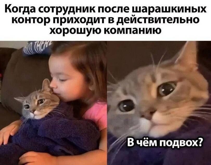 Когда сотрудник после шарашкиных контор приходит в действительно хорошую компанию
В чём подвох?