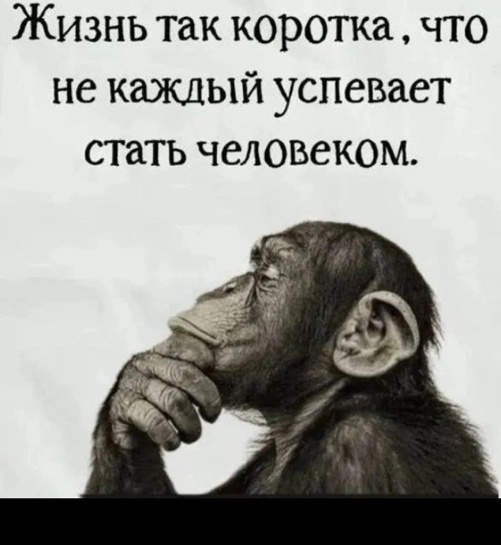Жизнь так коротка, что не каждый успевает стать человеком.