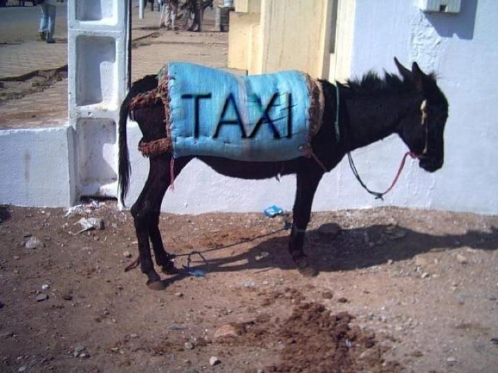 ТАКСИ