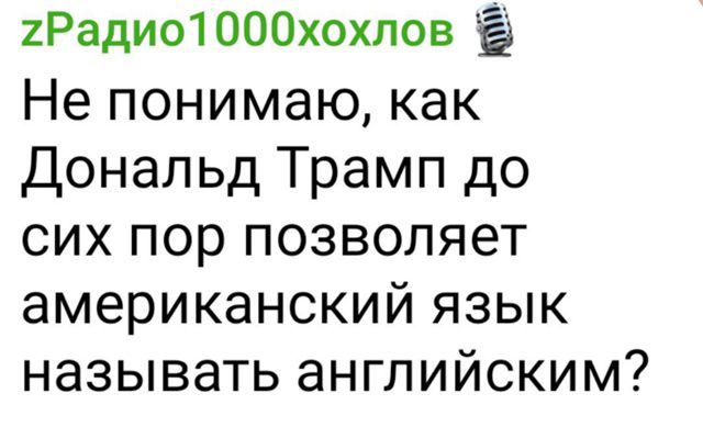 Не понимаю, как Дональд Трамп до сих пор позволяет американский язык называть английским?