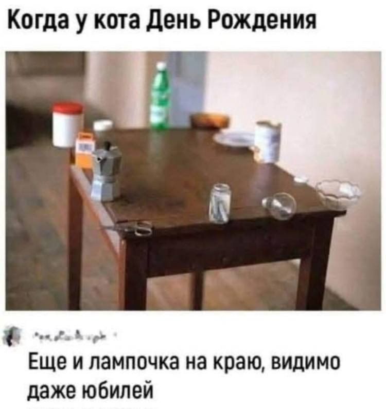 Когда у кота День Рождения 
Еще и лампочка на краю, видимо даже юбилей