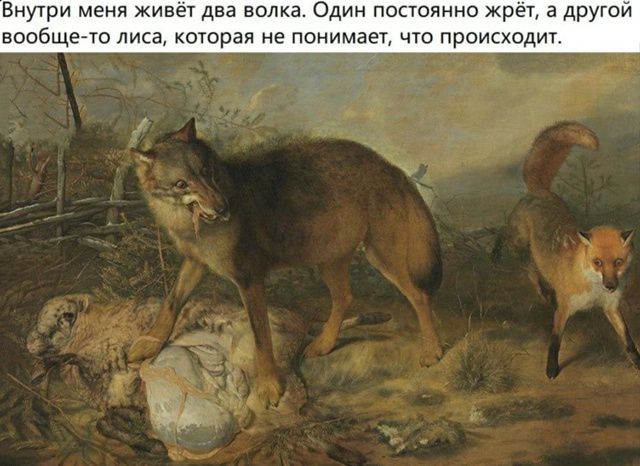 Внутри меня живёт два волка. Один постоянно жрёт, а другой вообще-то лиса, которая не понимает, что происходит.
