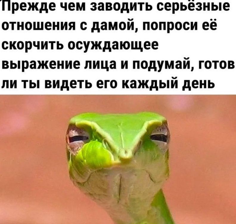 Прежде чем заводить серьёзные отношения с дамой, попроси её скорчить осуждающее выражение лица и подумай, готов ли ты видеть его каждый день.