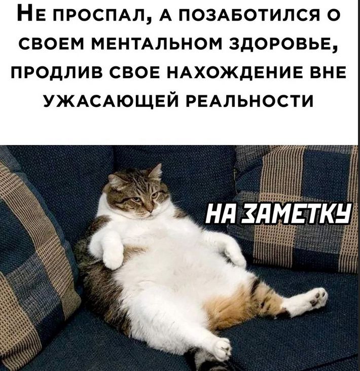 Не проспал, а позаботился о своем ментальном здоровье, продлив свое нахождение вне ужасной реальности.