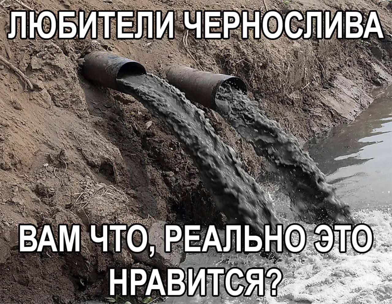 ЛЮБИТЕЛИ ЧЕРНОСЛИВА ВАМ ЧТО, РЕАЛЬНО ЭТО НРАВИТСЯ?