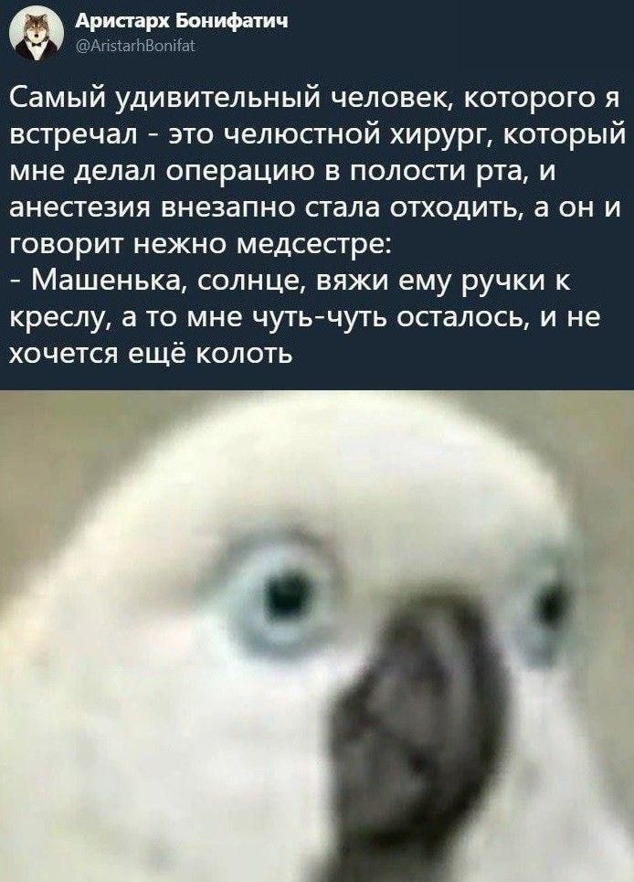 Самый удивительный человек, которого я встречал - это челюстной хирург, который мне делал операцию в полости рта, и анестезия внезапно стала отходить, а он и говорит нежно медсестре: - Машенька, солнышко, вяжи ему ручки к креслу, а то мне чуть-чуть-чуть осталось, и не хочется ещё колоть.
