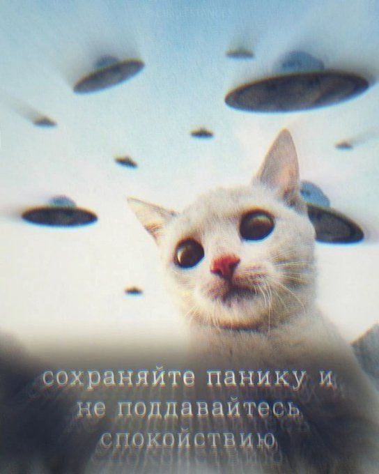сохраняйте панику и не поддавайтесь спокойствию