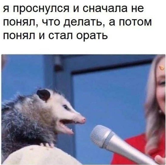 я проснулся и сначала не понял, что делать, а потом понял и стал орать