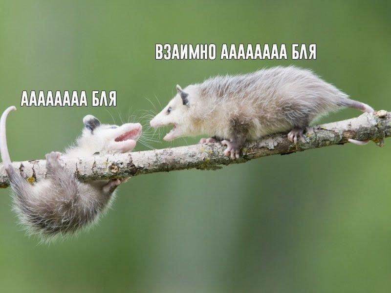 ВЗАИМНО ААААААА БЛЯ
ААААААА БЛЯ