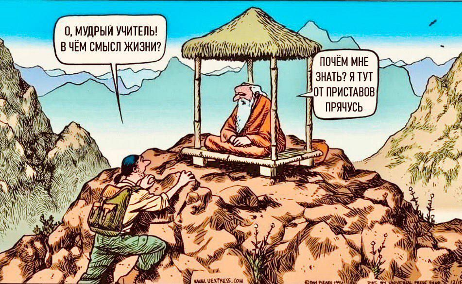 О, мудрый учитель! В чем смысл жизни? Почему мне знать? Я тут от приставов прячусь.
