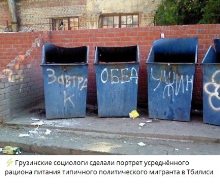 Грузинские социологи сделали портрет усреднённого рациона питания типичного политического мигранта в Тбилиси