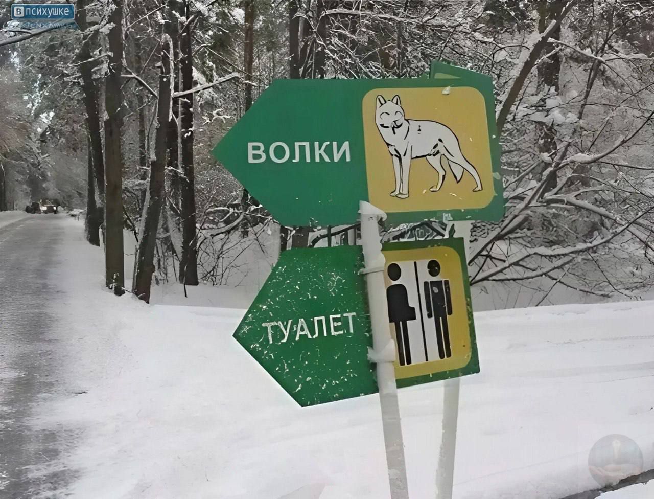 ВОЛКИ
ТУАЛЕТ