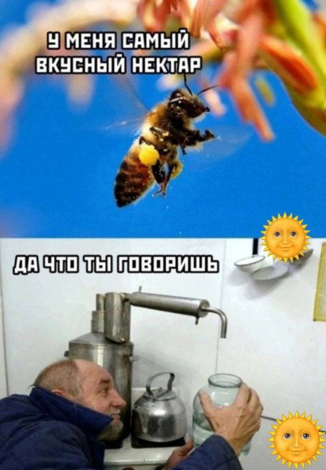 У МЕНЯ САМОЙ ВКУСНЫЙ НЕКТАР
ДА ЧТО ТЫ ГОВОРИШЬ